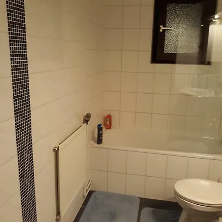 David Appartement
